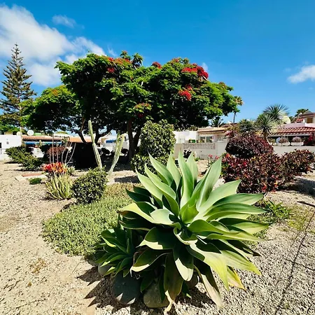 Sunny With Private Terrace Pool Access Apartment Costa Del Silencio